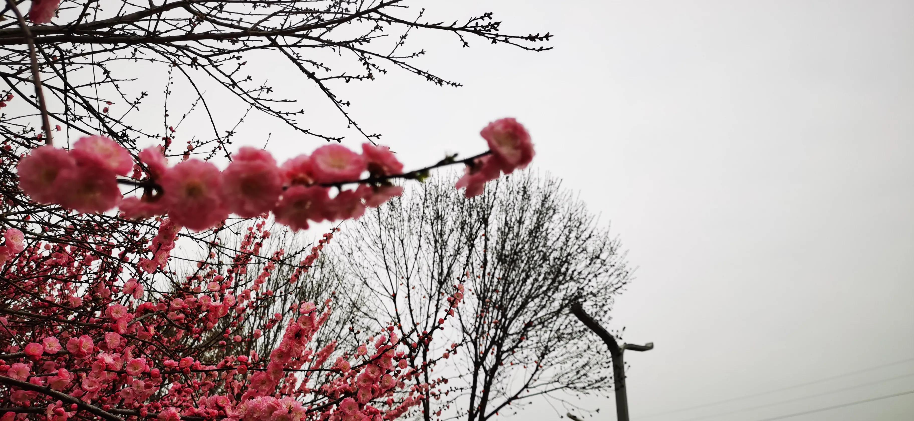 药品价格差异为什么这么大,药品的价格跟功效一样吗