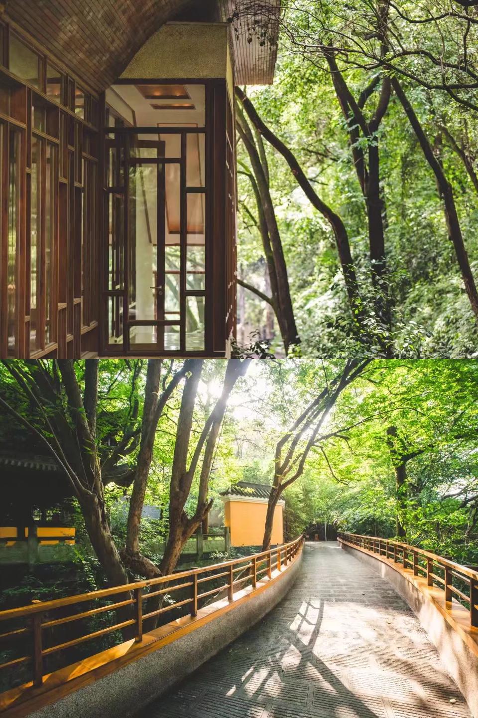 远离城市喧嚣的天然氧吧｜重庆柏联温泉酒店