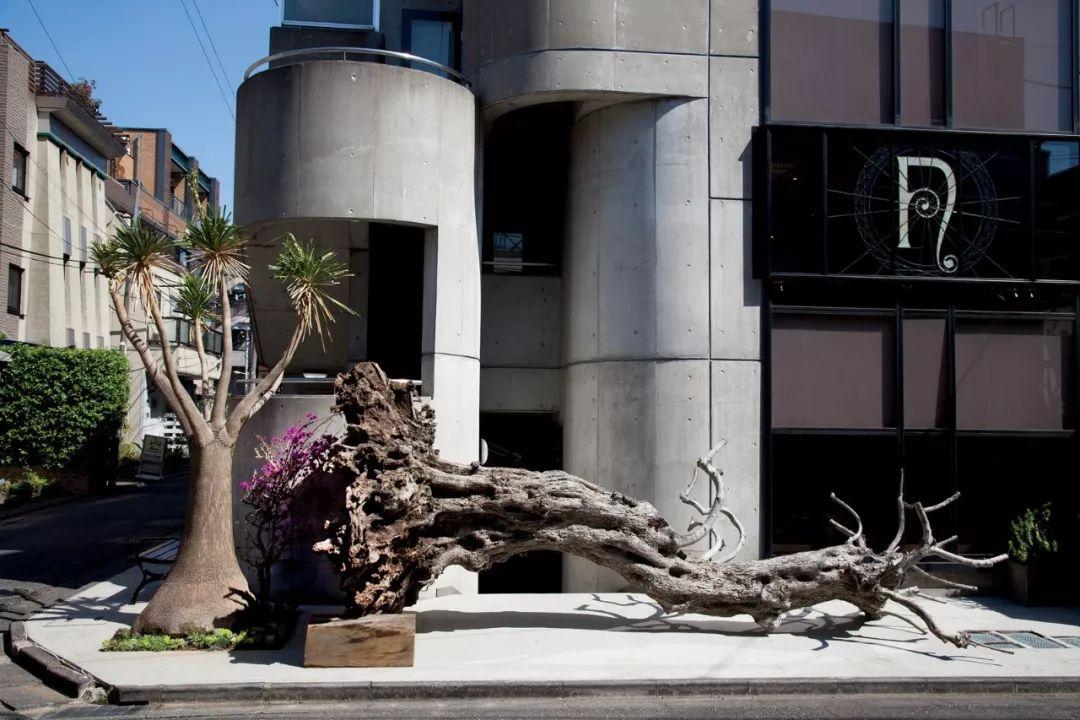 rocky品牌怎么样,rocky一线潮牌