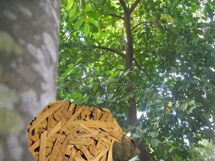 各种香料的属性与搭配,各种香料调料的配方共十八种