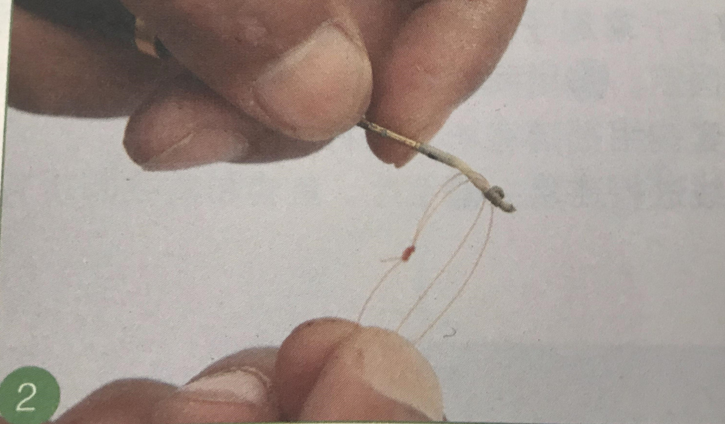 鱼线竿稍的太空豆绑法视频,新手钓鱼鱼线和鱼竿全套怎么绑