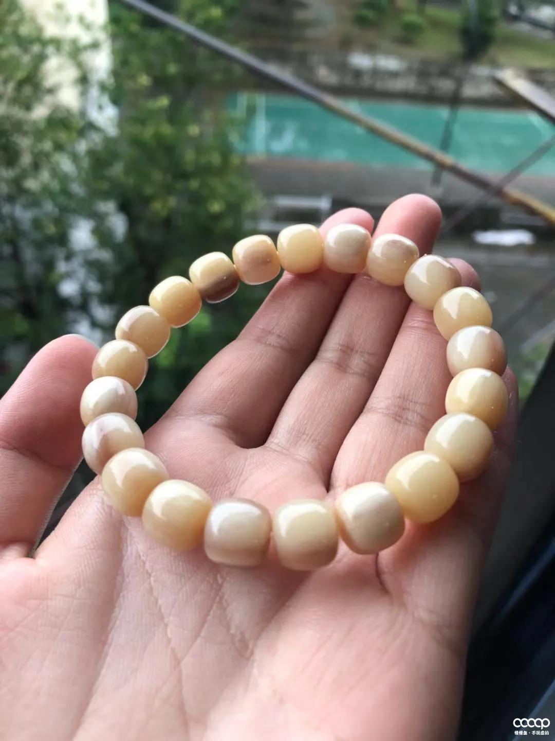 有毒！又一位宝藏小姐姐，玩核桃最爱“马虎”，朋友眼里是奇葩