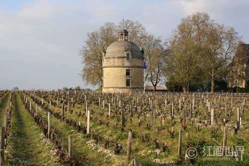 传奇波尔多拉菲葡萄,传奇波尔多红酒是拉菲的吗