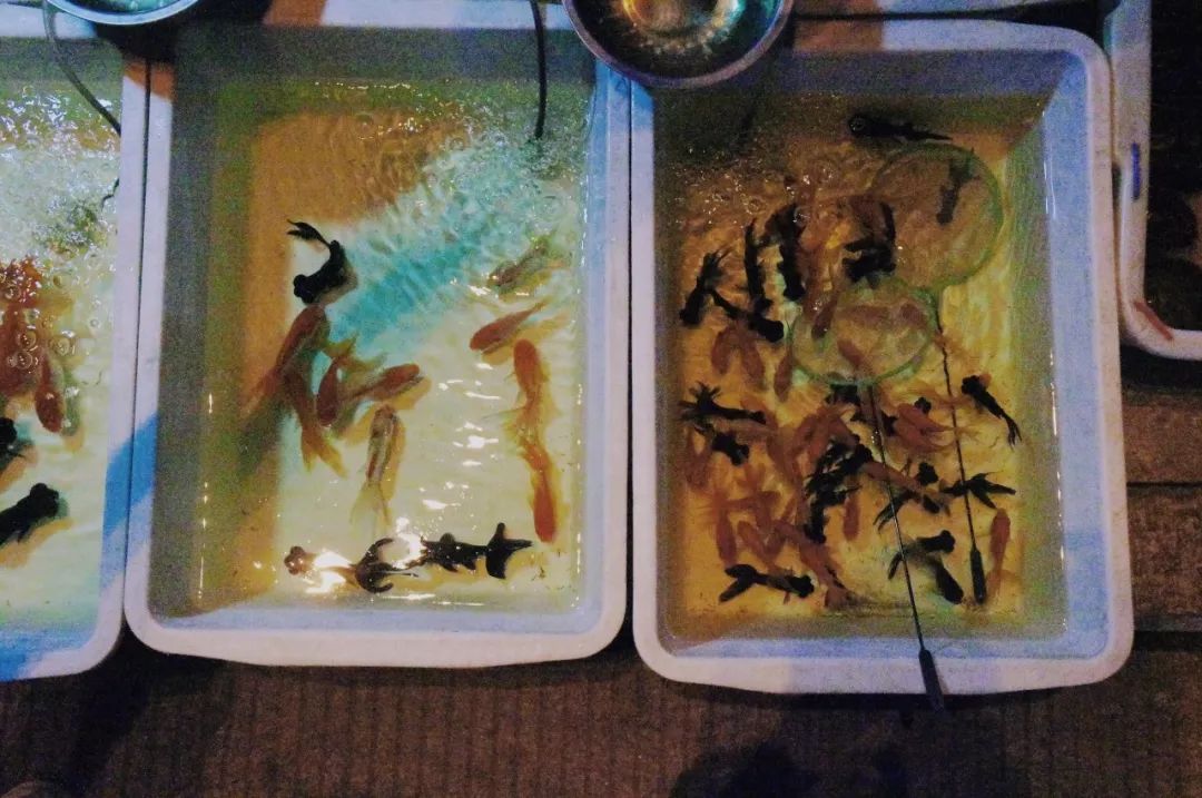 福州美食街夜市宣传片,福州夜市广告