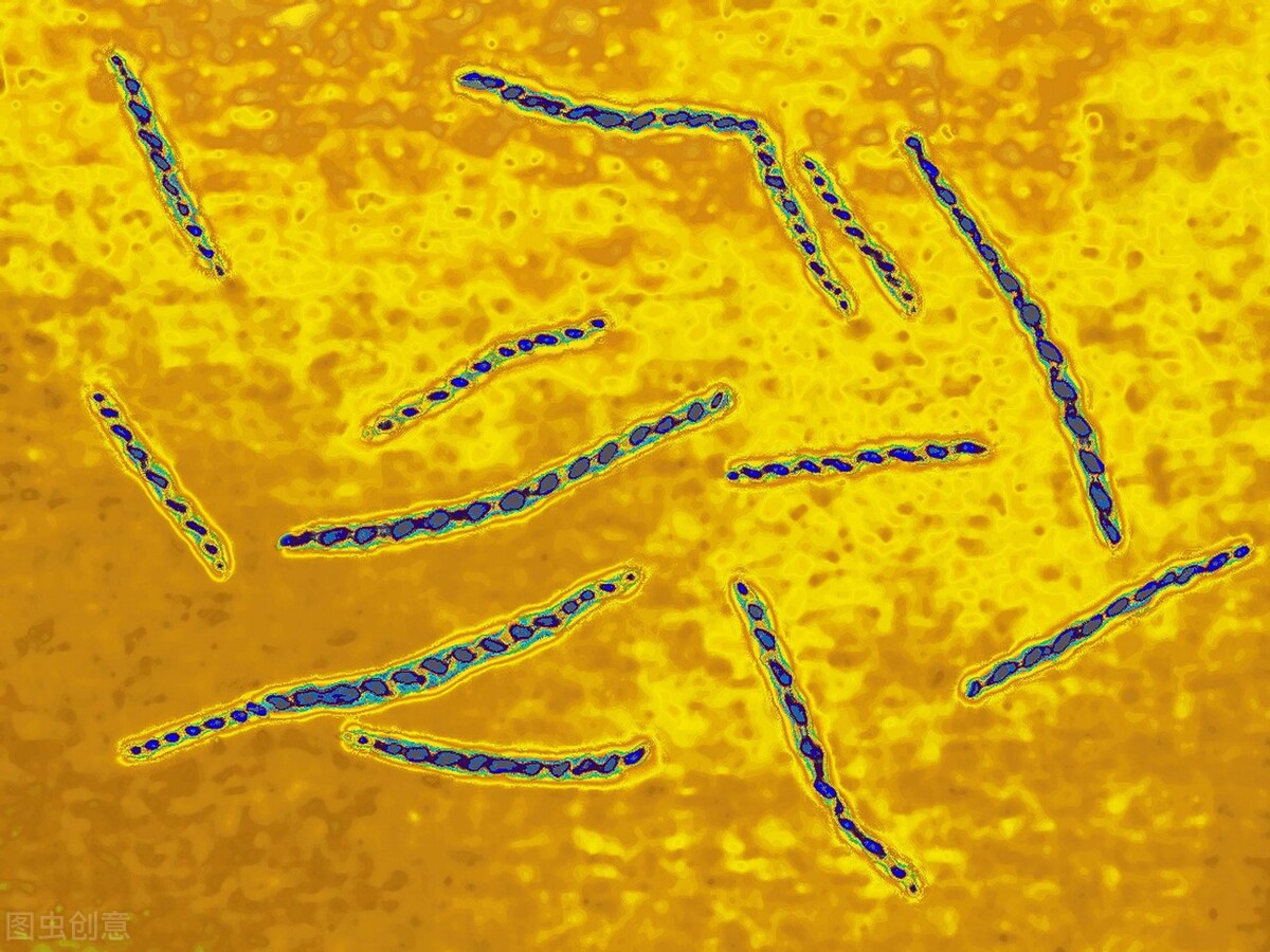 狎妓成风的大唐文人，为何躲过了「梅毒」？多亏迟来的哥伦布