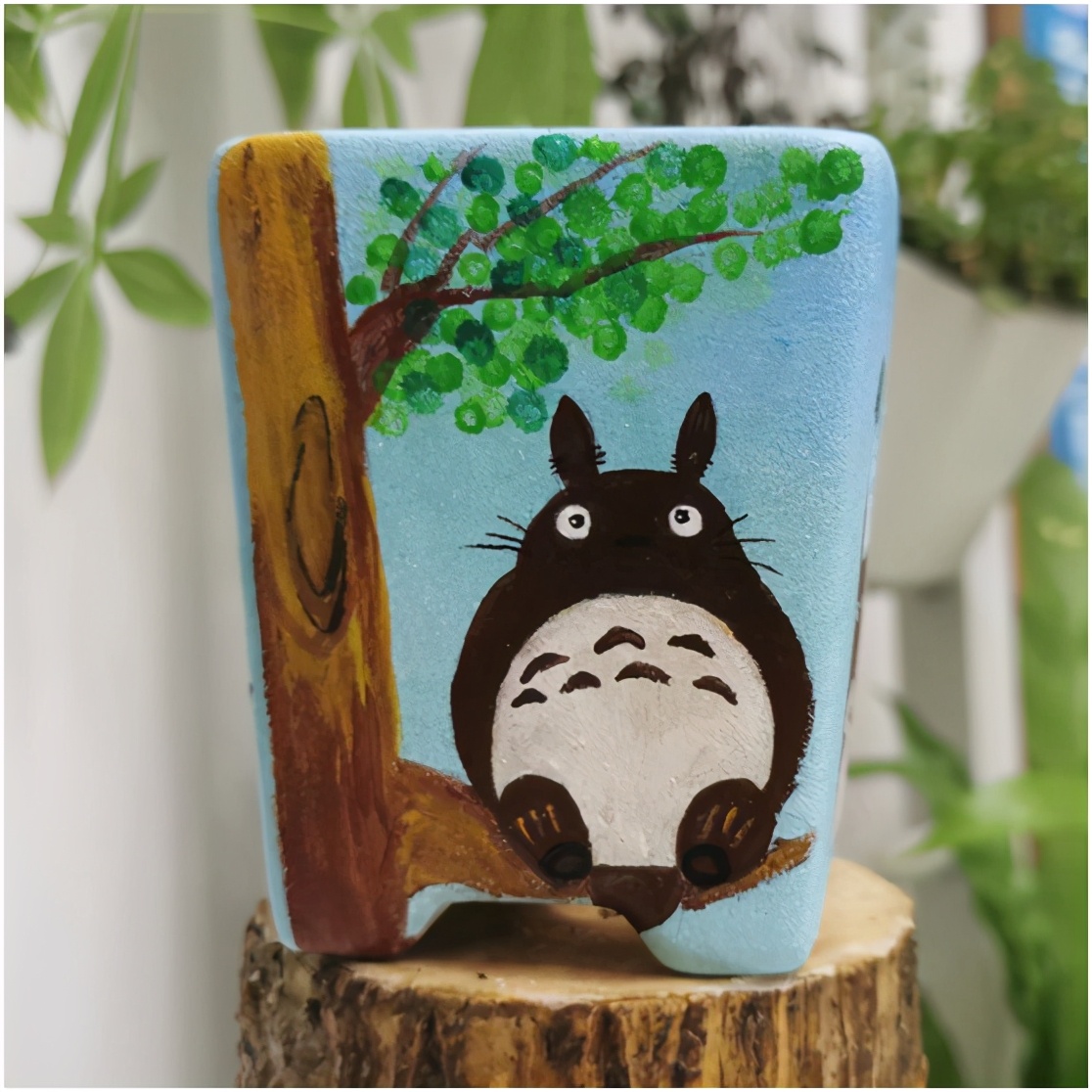 多肉虐我千百遍，我待多肉如初恋