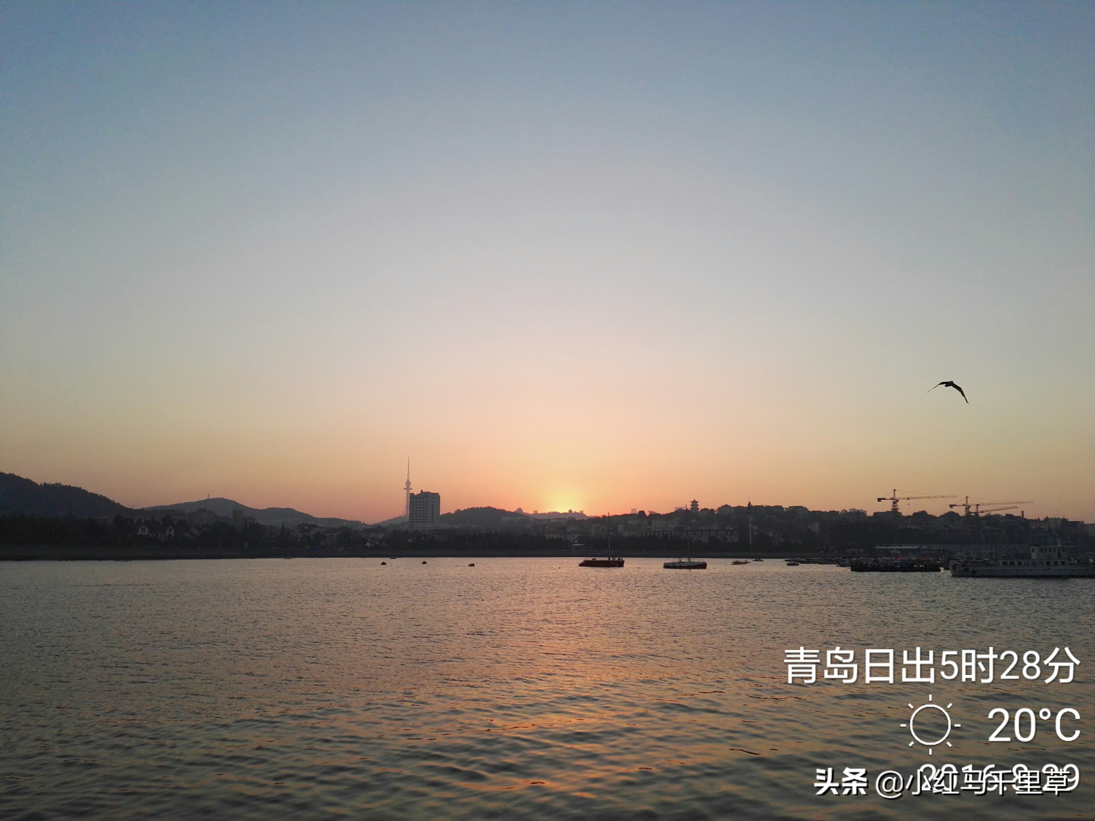 好客山东青岛旅游攻略,好客山东浪漫青岛