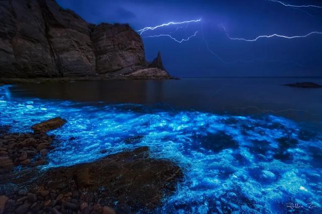 突然就想去旅游了,忽然间就想去厦门了