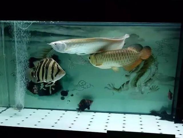 上岸原因令人震惊,上岸的缘由