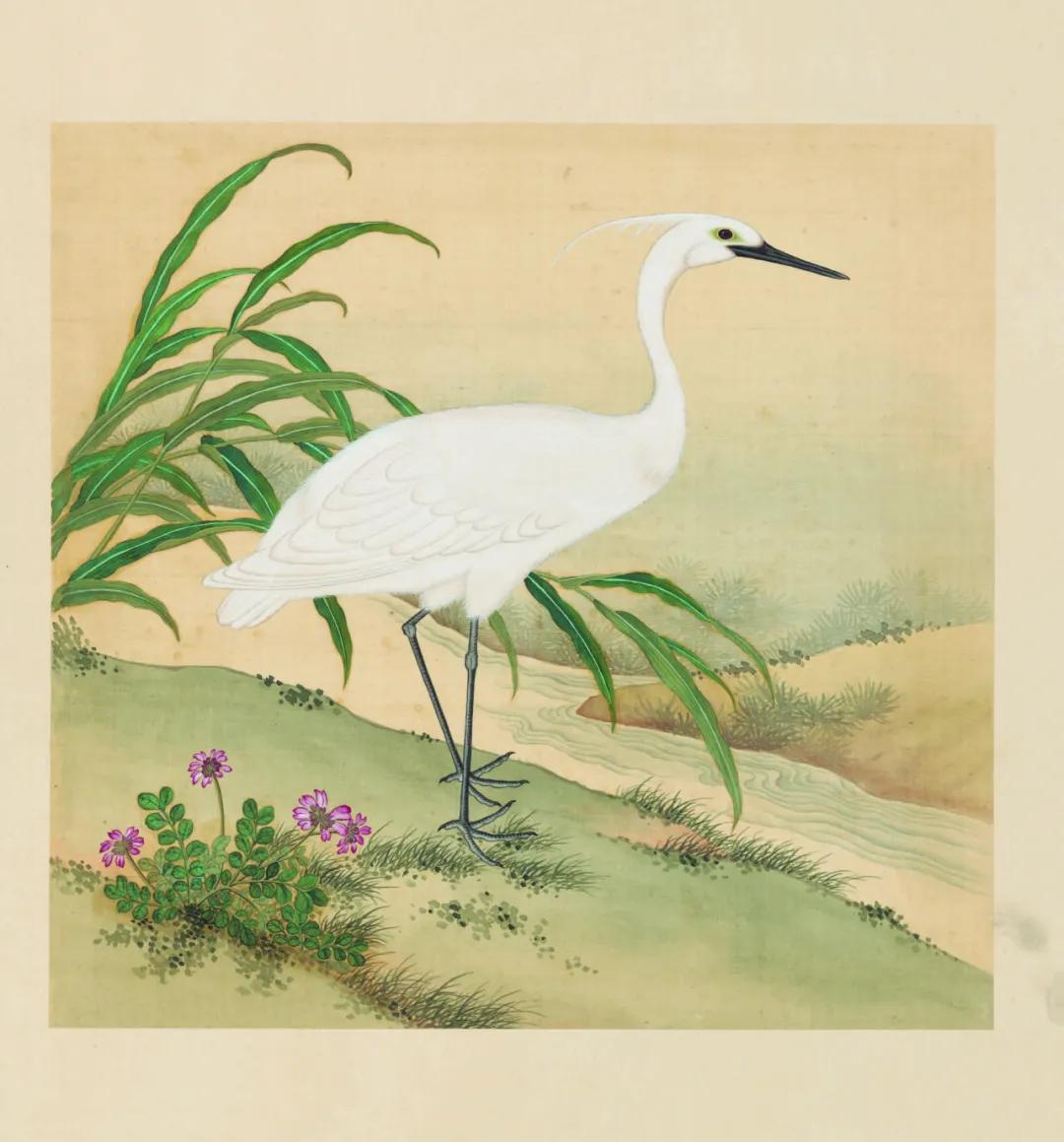 世界那么大我想去看看读书笔记,世界那么大我想去看看古诗