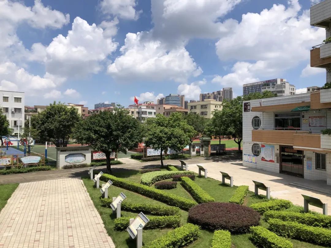 怡海三小改造,南海桂城怡海第三小学改造