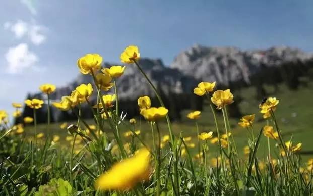 出国旅游担心语言问题,出国旅游预订机票口语