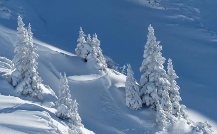 我们为什么会生病咳嗽,我们为什么会生病全文