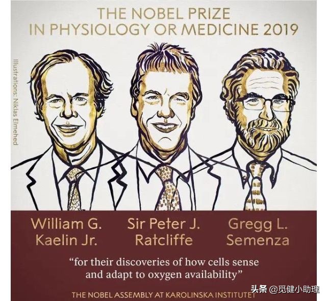 抗癌专家30年治疗癌症,癌症免疫治疗诺贝尔奖