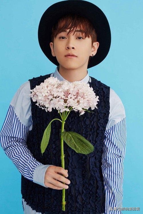 香港已逝的100位明星,颜值与才华并重的十大香港明星