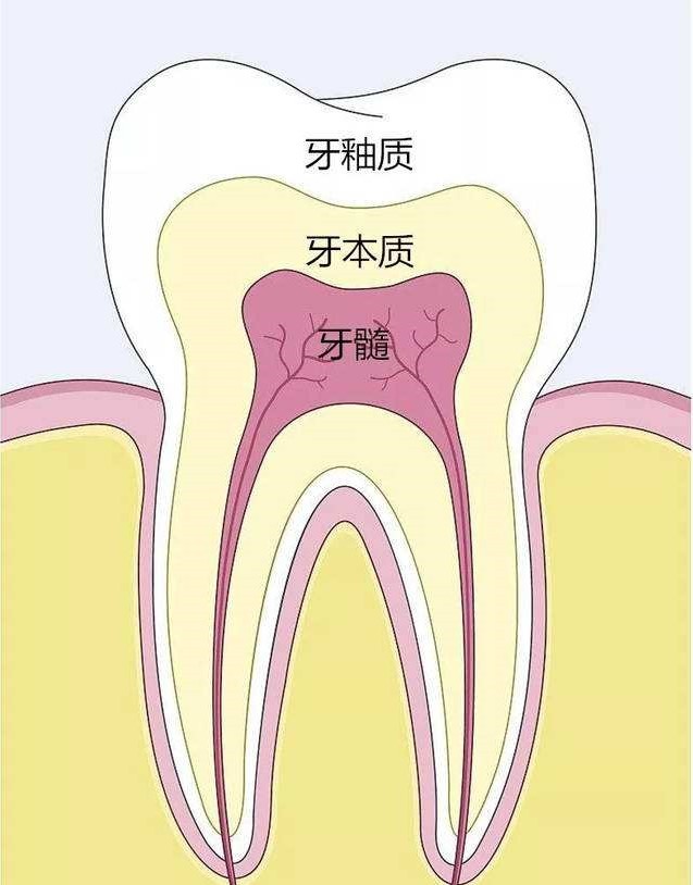 每天坚持刷牙但还是有口臭怎么办,刷牙小妙招一个星期刷白牙