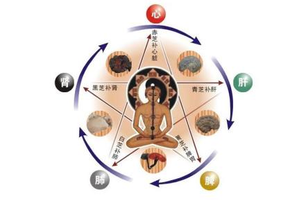 中医五行与五脏的关系,中医五行与五脏对应