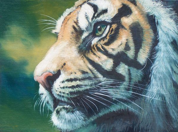 我国现存的老虎种类一览表,中国最古老的老虎是什么品种