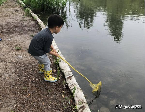 可以带孩子玩的大自然游戏,野外探险游戏项目