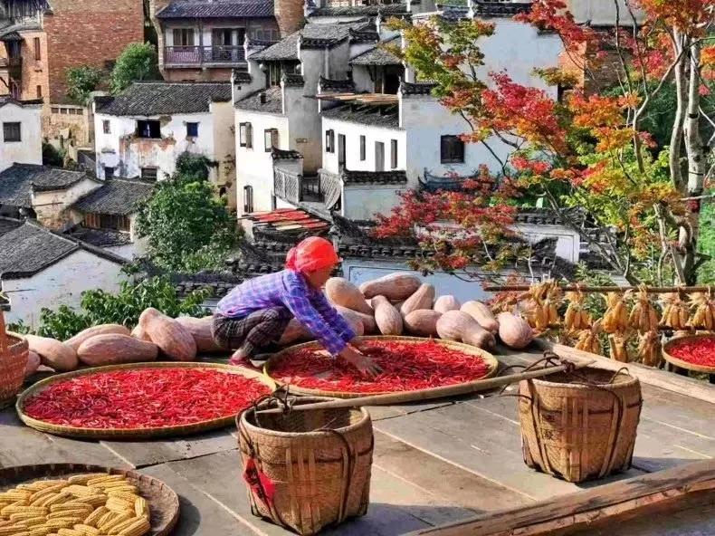 10月下旬徽州摄影推荐,金秋皖南婺源摄影之旅