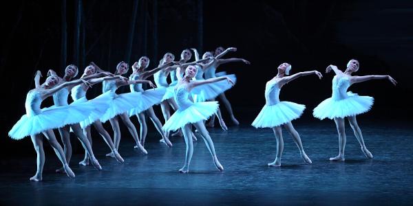 优美的旋律之王《天鹅湖》，悠扬音乐伴随典雅舞姿，神秘又美丽