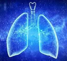 清肺润肺养肺最好方法小孩子,过敏鼻炎养肺润肺的最佳方法