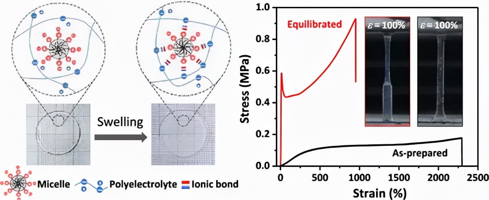 《大分子》似塑料的超分子水凝胶！聚电解质/表面活性剂物理交联