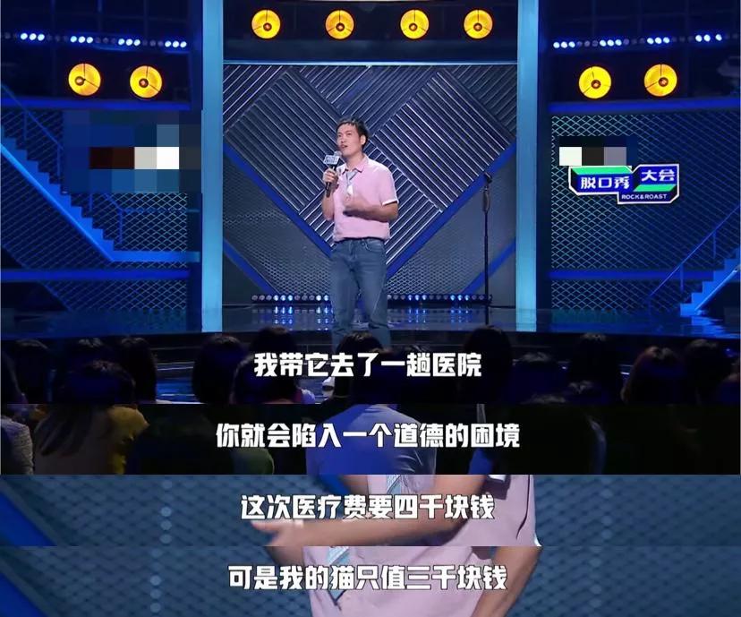 以为单身就可以自由,开始以为养猫是为了不孤单