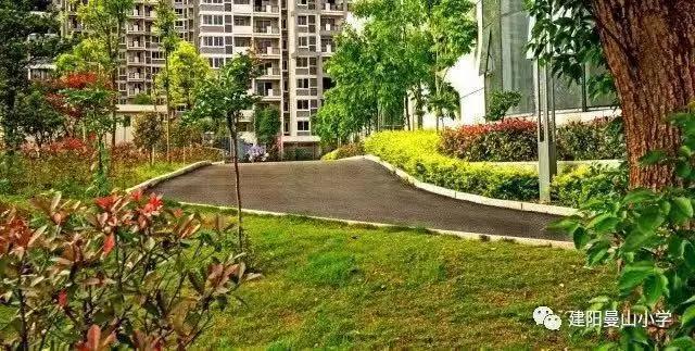 南平市建阳区曼山小学,建阳曼山小学