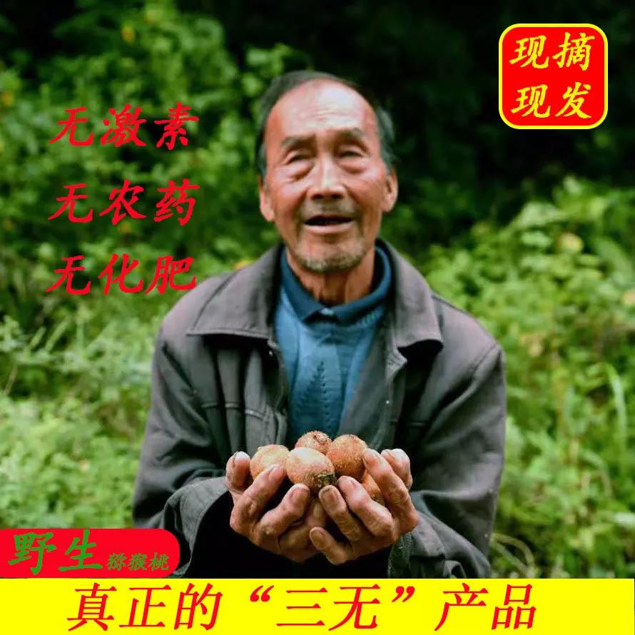 陇南最新促销活动,钜惠来袭限时狂欢购