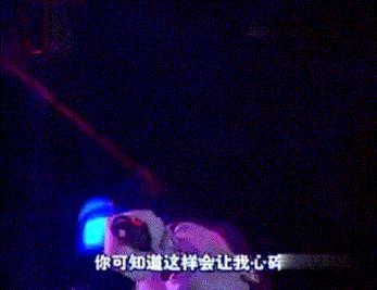 最佳损友讲友情还是爱情,最佳损友友情