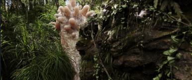 爱与怪物2020完整版电影,爱与怪物视频