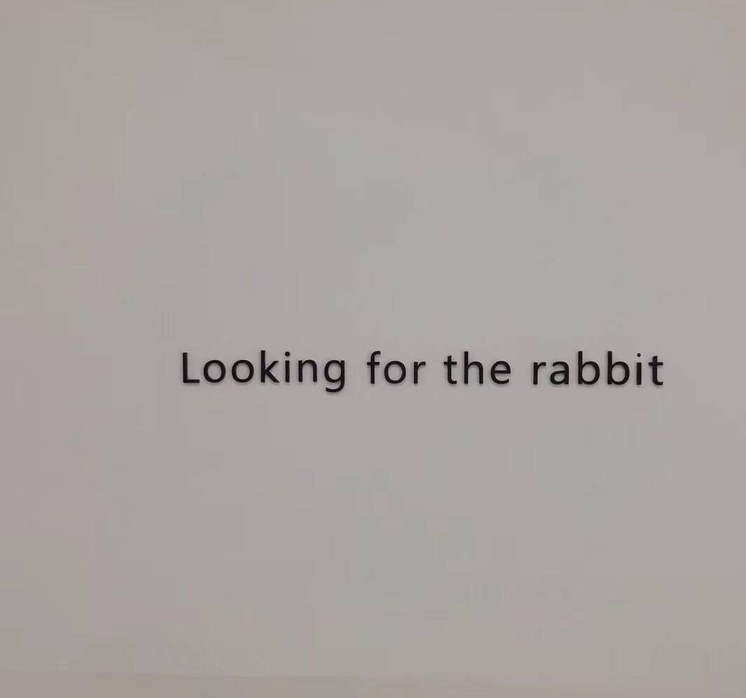 网易云热评学校篇,网易云热评教育