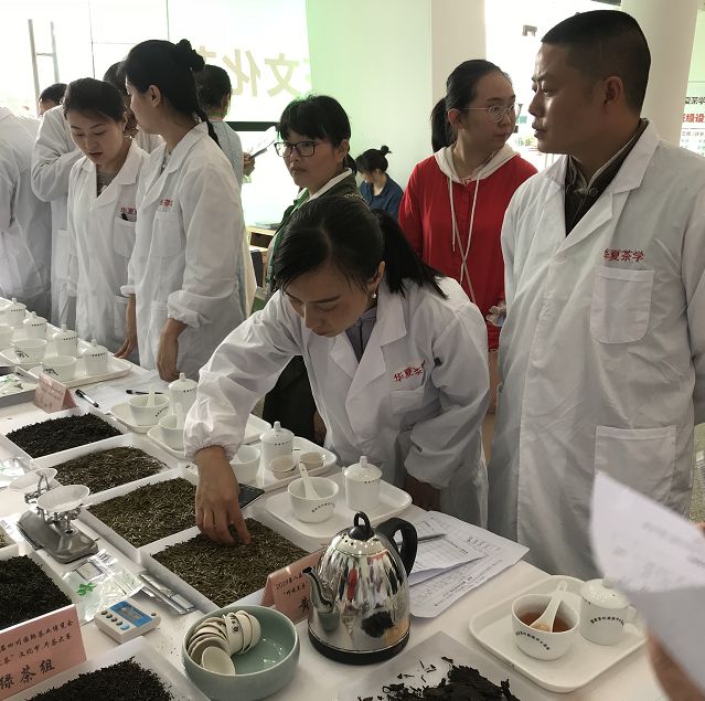 蒙顶山赋雅轩,蒙顶山绿茶赋雅轩