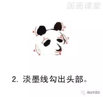 教你画大熊猫水彩画,黑色与白色的大熊猫怎么画才好看