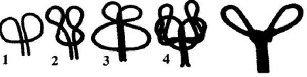 户外绳结的打结方法,户外8字环下降器绳结打法