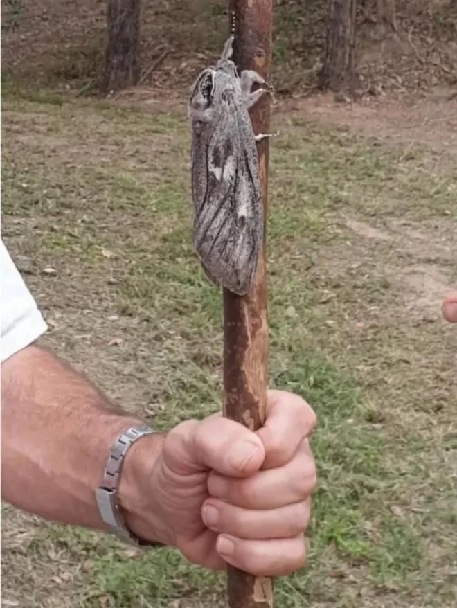 纪念吴孟达的外景视频,吴孟达纪念片完整版