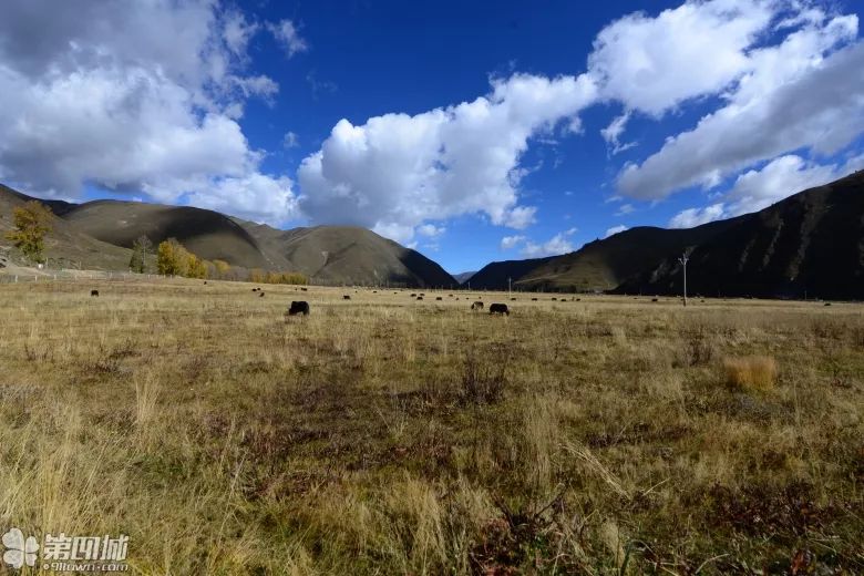 漫漫装修路，比邻有缘人（第一部分）