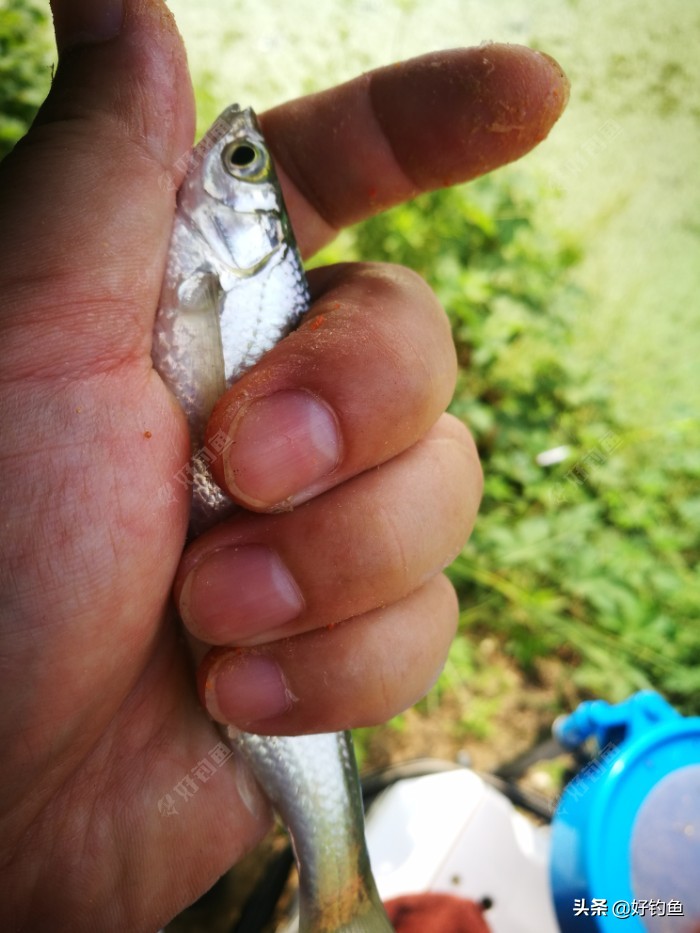 忙里偷闲的出来钓个鱼,忙里偷闲钓鱼