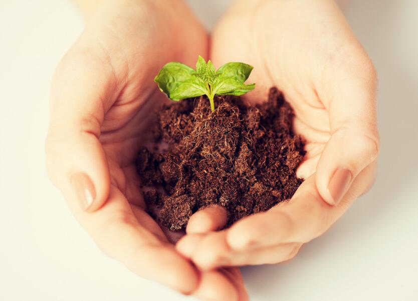 不孕不育毁掉了幸福生活,不孕不育大部分都是女生的问题吗