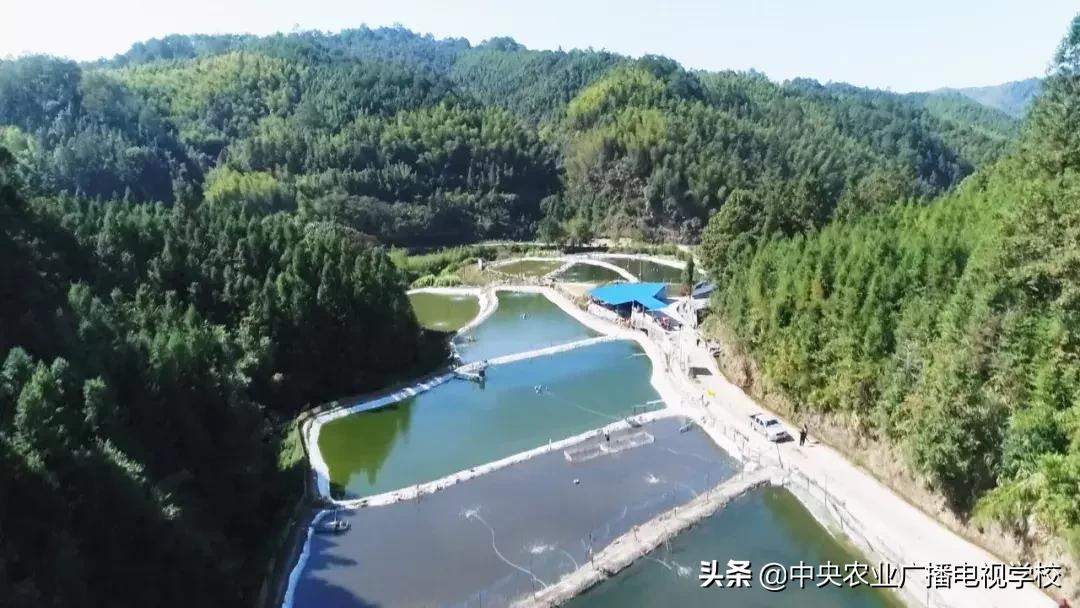 【农广天地】滑溜的财富抓起来