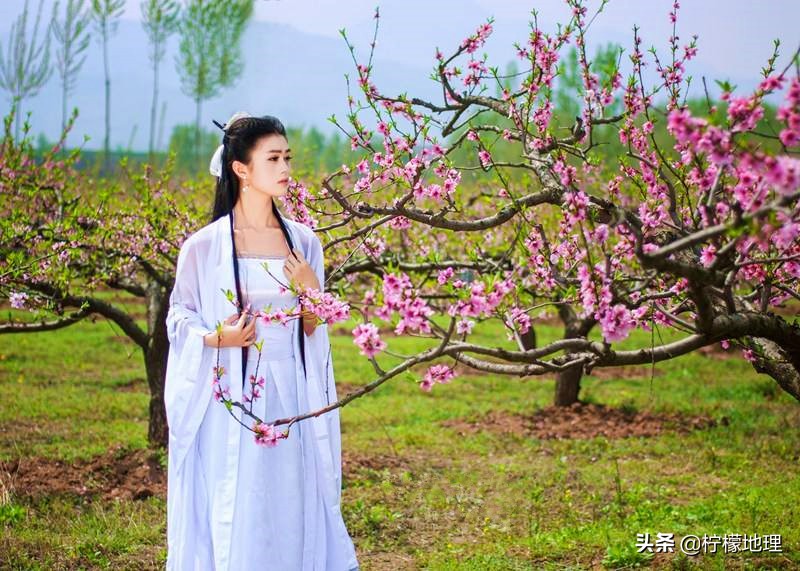 西安王莽乡桃花基地,西安王莽万亩桃花园