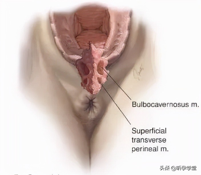 医生不建议侧切,医生不给我缝合伤口