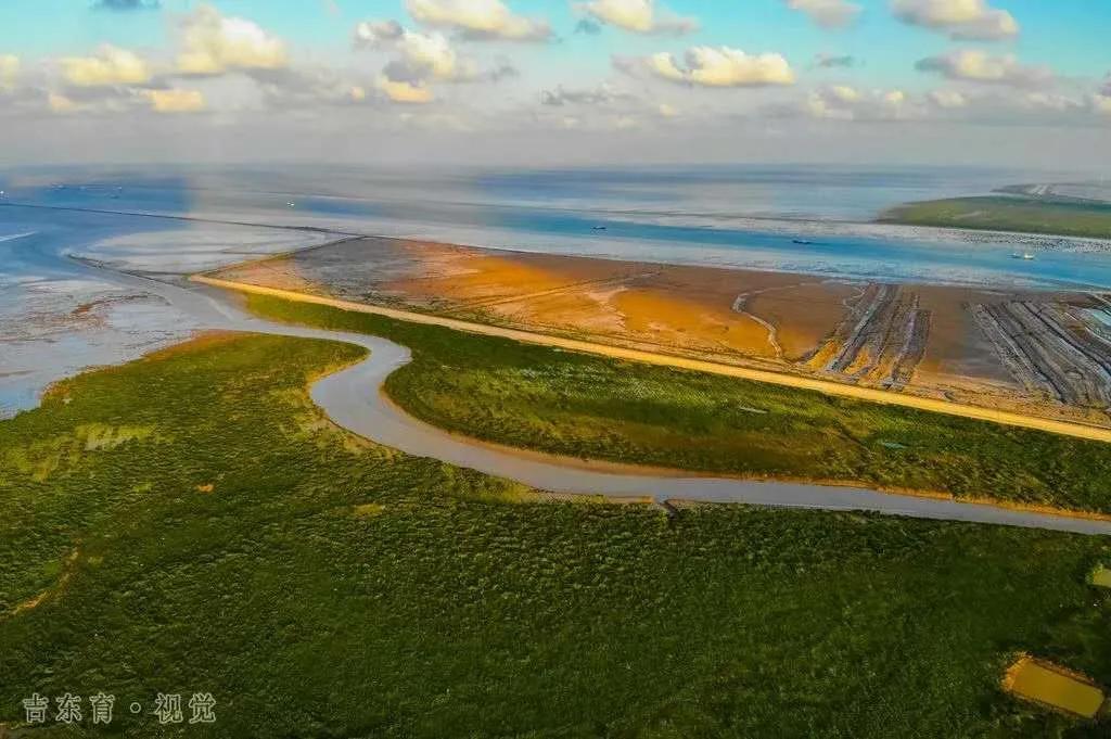 射阳现代化农业,围观现代化农村