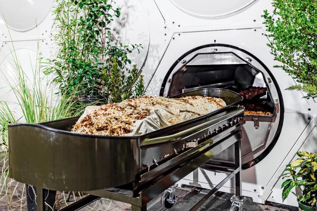 美帝新“死法”，5500美元把人尸体变成花肥，值不值？