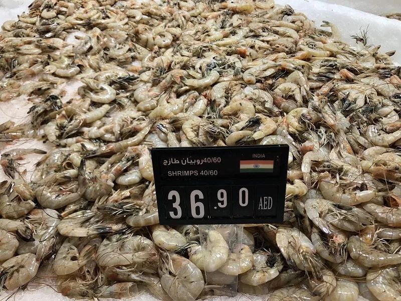 在迪拜怎么降低生活成本,迪拜一周生活成本多少钱