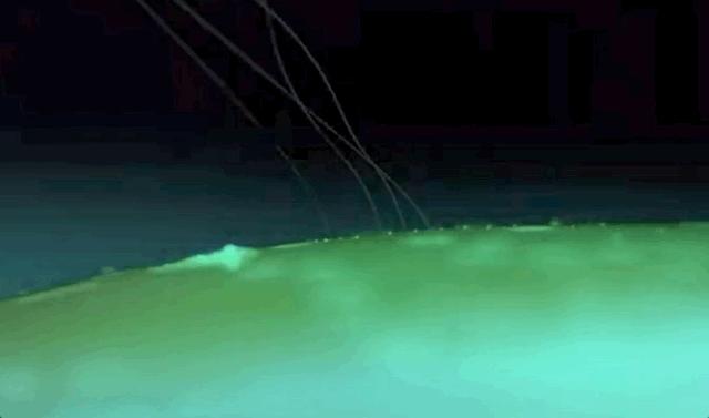 整个微信都在刷屏,微信美国最新消息