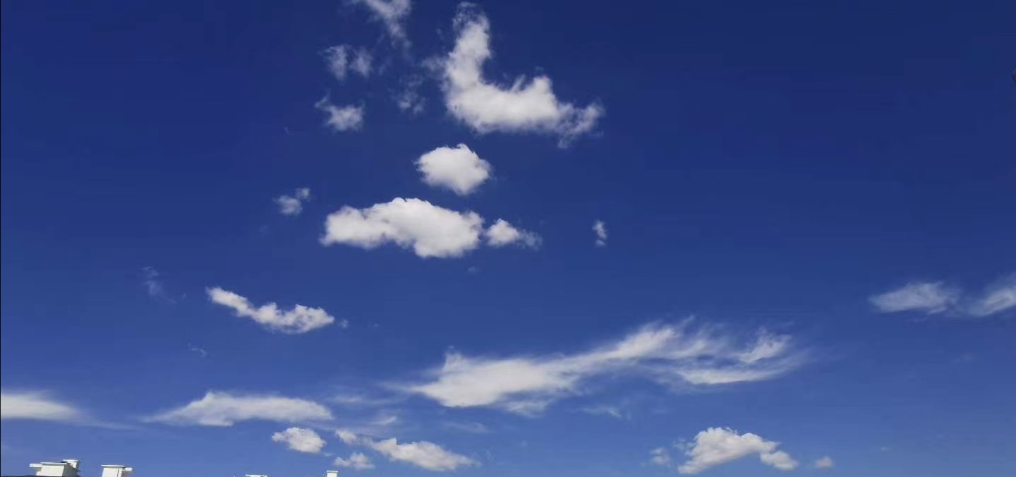 成长中的烦恼800字初中,成长中的烦恼的作文