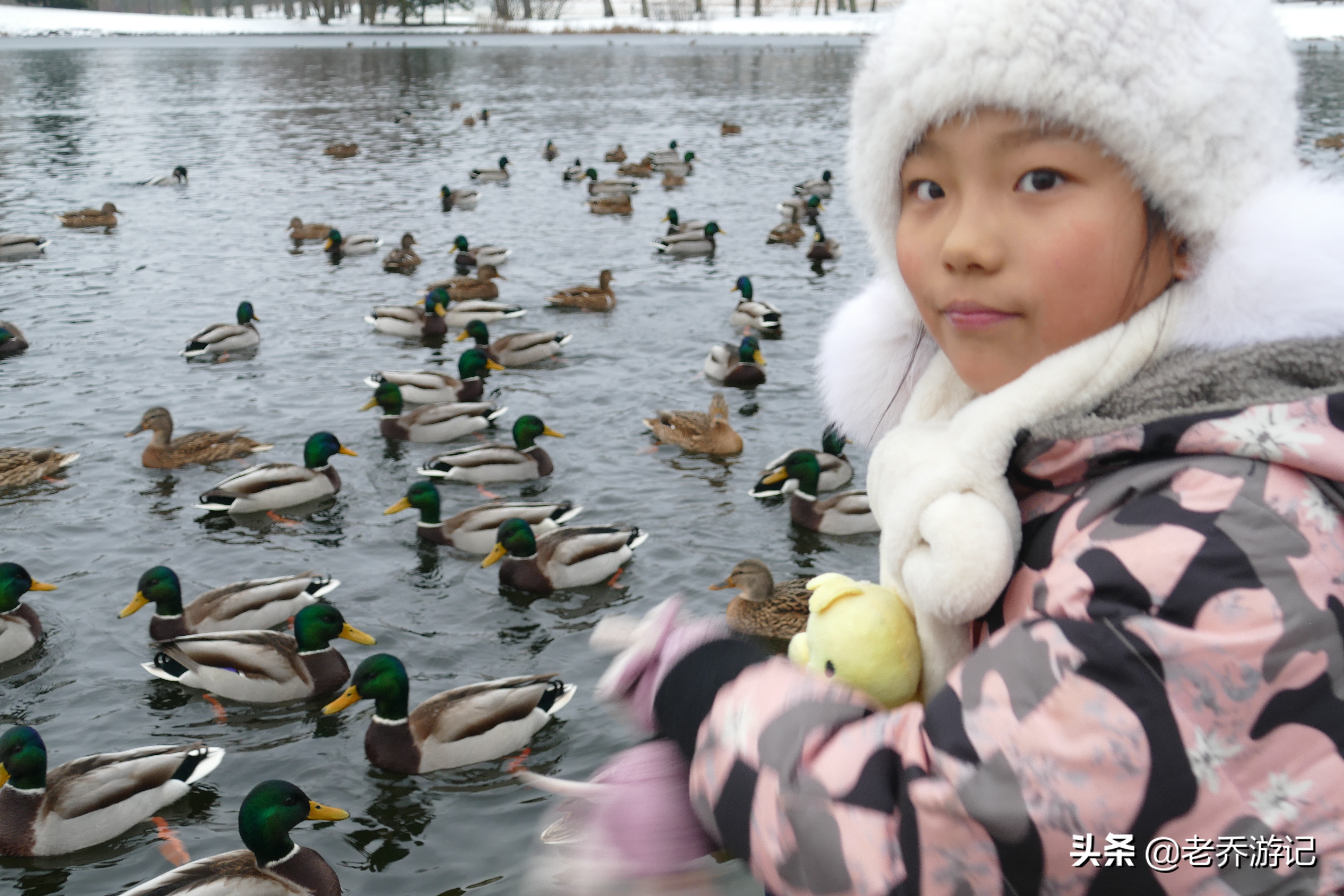 老乔一家人最新视频,农村老乔一家三口