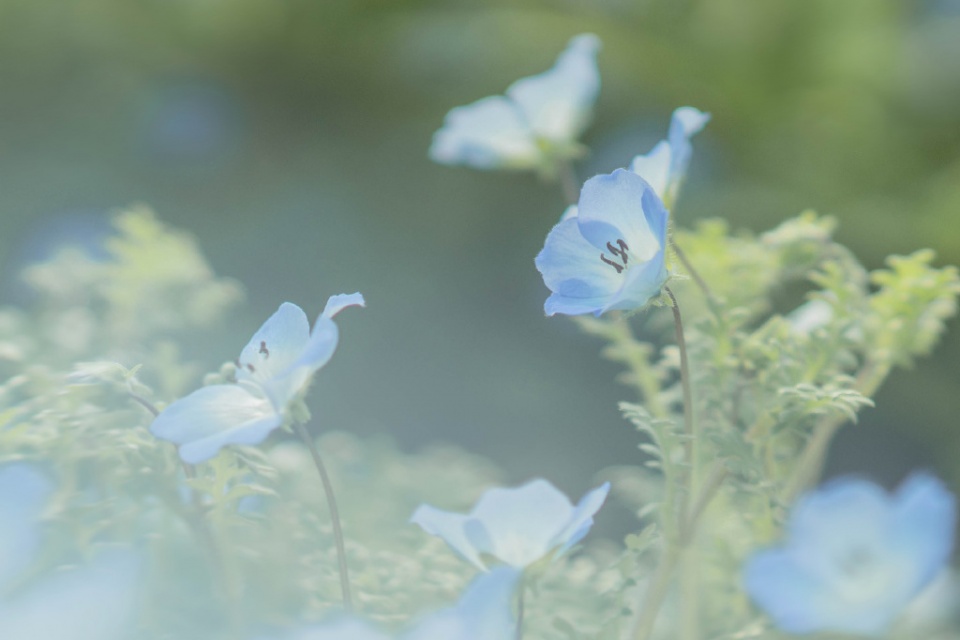 对恋爱不如何上心的星座,恋爱中容易让恋人对他失望的星座